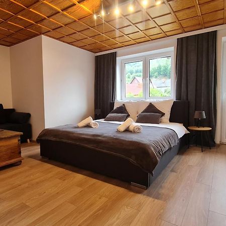 Szumia Plaziny Apartment Muszyna Ngoại thất bức ảnh