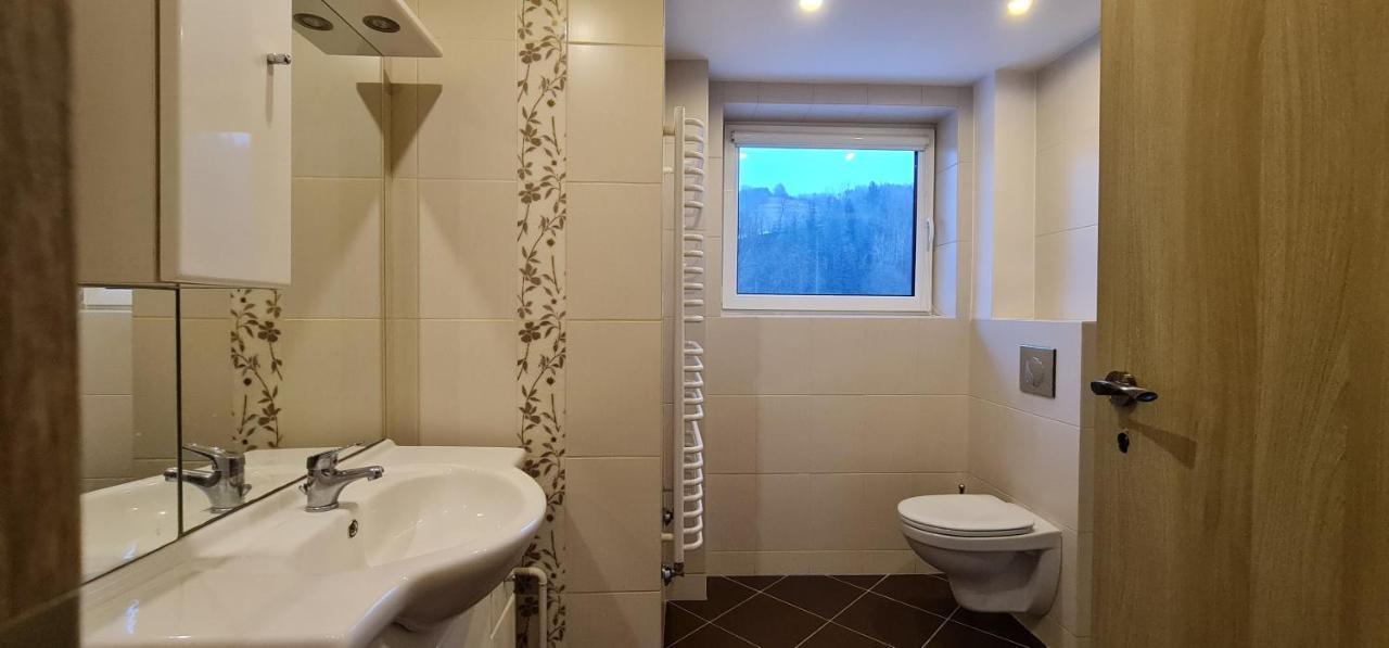 Szumia Plaziny Apartment Muszyna Ngoại thất bức ảnh